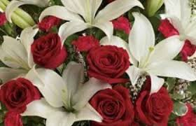 Condolances and Sympathy Flowers from Dorothy's Florist