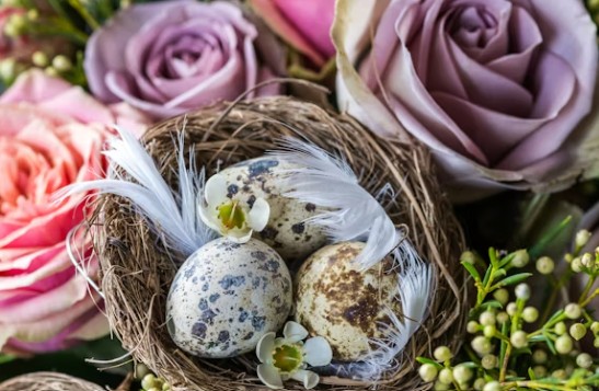 Easter Flowers and Chocolates from Dorothy's Florist